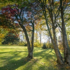Villa Regenhart****, Jeseník - zahrada